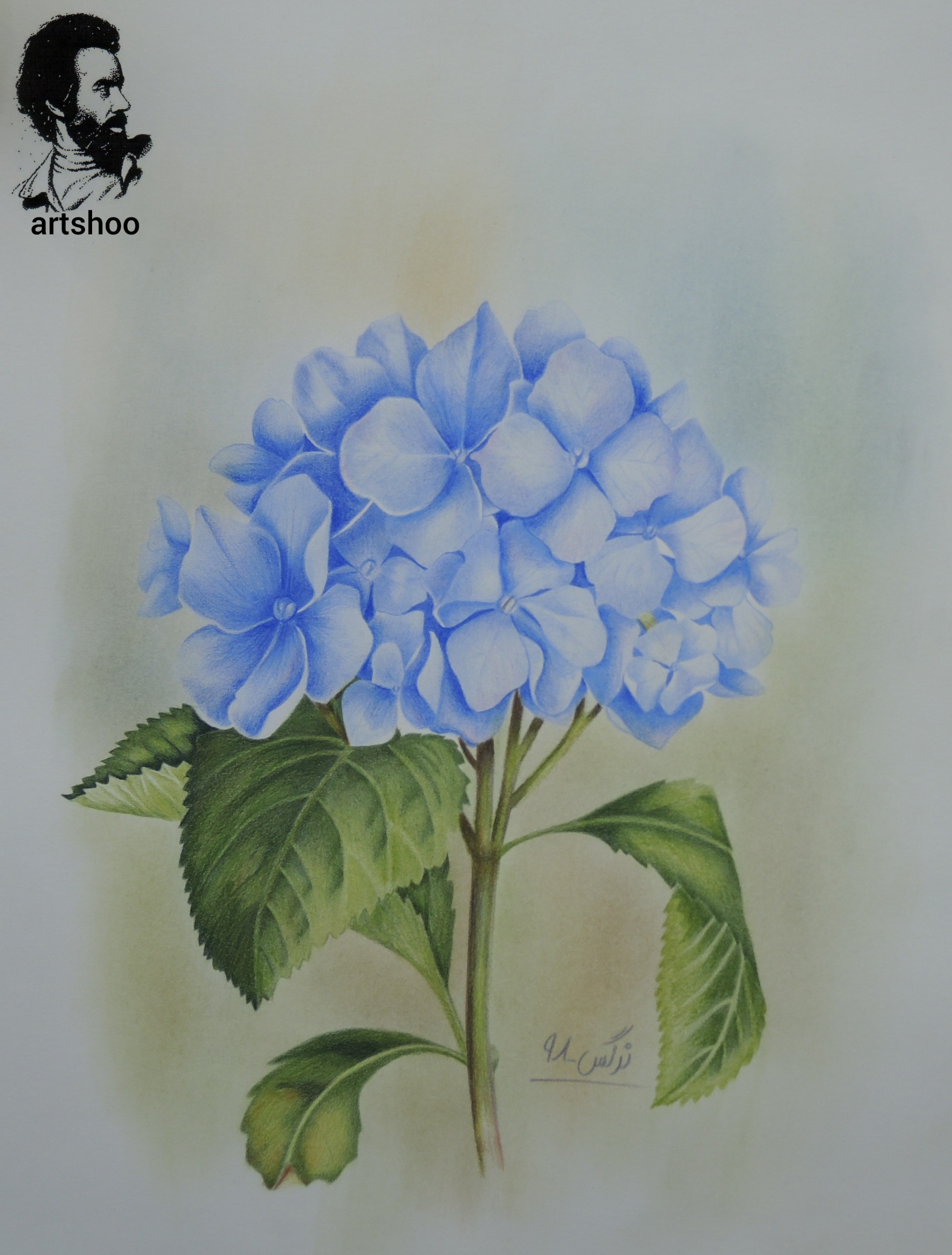 نقاشی مدادرنگی